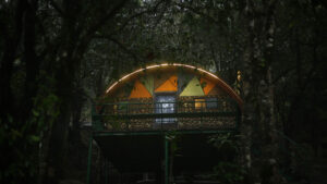 Cloud Cabana Holidays in Vagamon