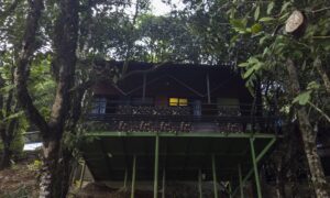 Forest Cabin at Cloud Cabana Holidays Vagamon, highlighting its inviting exterior and picturesque location amidst the tranquil forest environment.