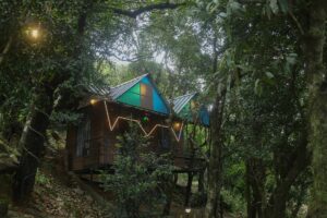 Inviting Pine Cabin at Cloud Cabana Holidays Vagamon offering a warm and comfortable stay in a natural setting.